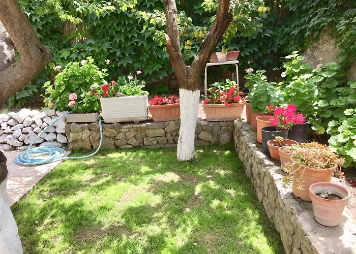 Vento Di Terra Ponza