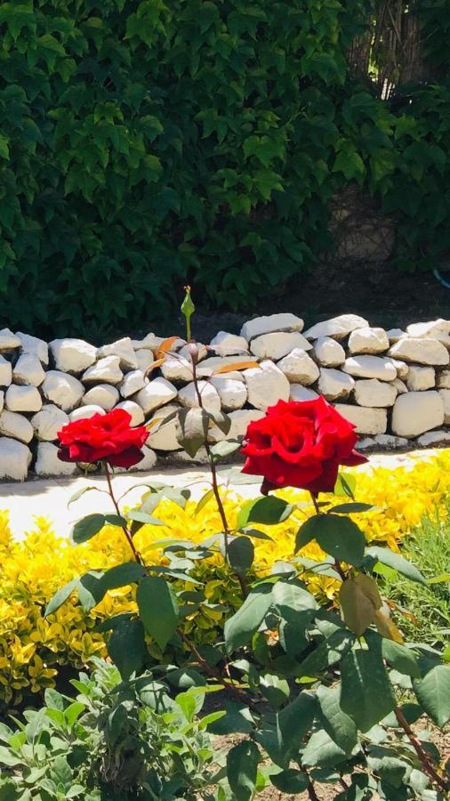 Vento Di Terra Holiday home